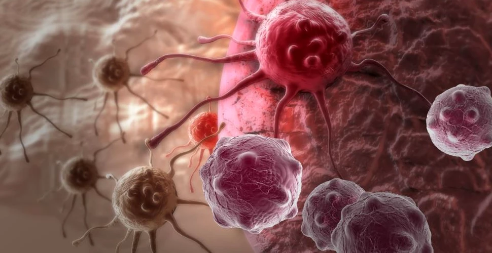 Chimioterapia ar putea favoriza răspândirea celulelor cancerului mamar