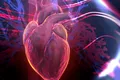 Anatomia fără bisturiu. Pot „cadavrele digitale” să înlocuiască disecția clasică?