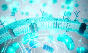 Tinerețe contra cost: cât din industria longevității este știință?