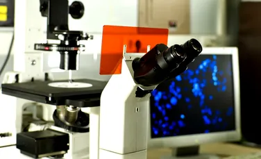 Acesta e viitorul în lupta împotriva cancerului: „celule ucigaşe” fabricate în laborator