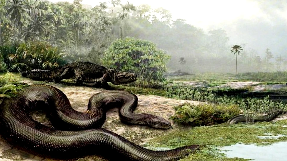 Nu şerpii au fost prima specie veninoasă. O descoperire recentă a elucidat un mister vechi