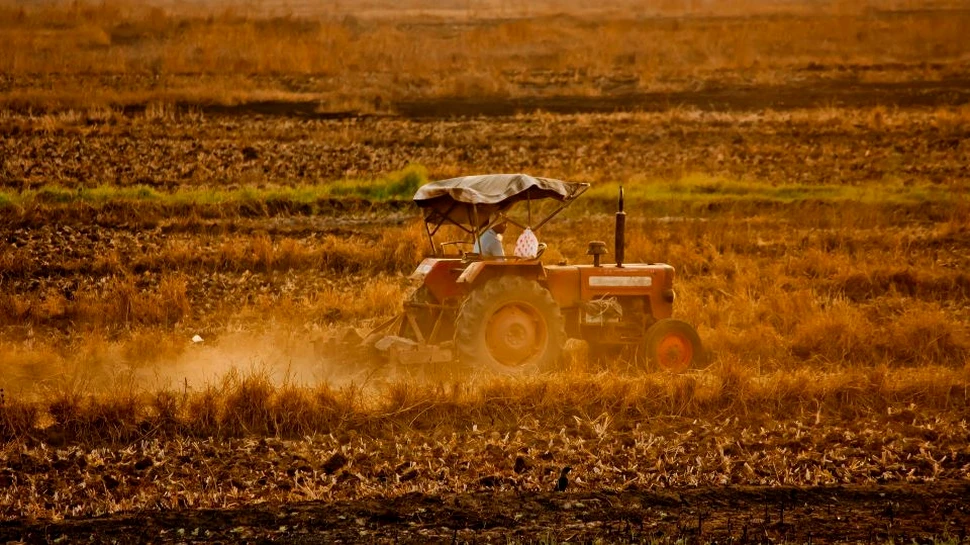Politica Agricolă comună nu este viabilă pentru viitor, susţine un studiu al unor cercetători nemţi