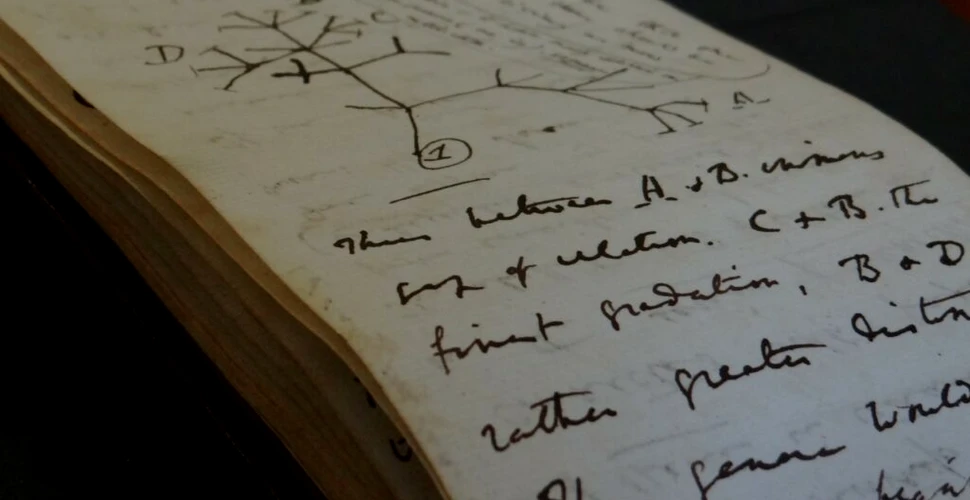 Un manuscris rar al lui Charles Darwin, scos în curând la licitație