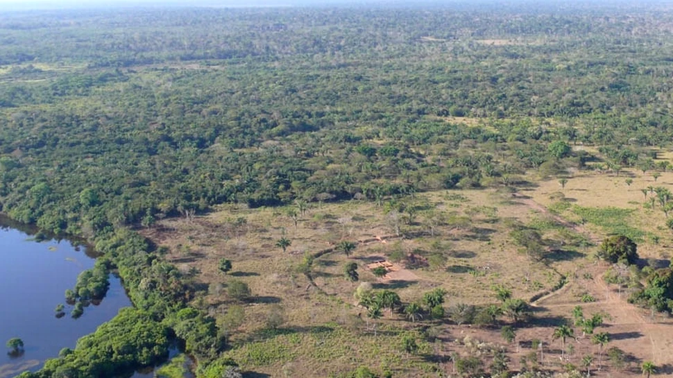 Misterul cercurilor construite cu mii de ani în urmă în jungla amazoniană. Ce au aflat cercetătorii?