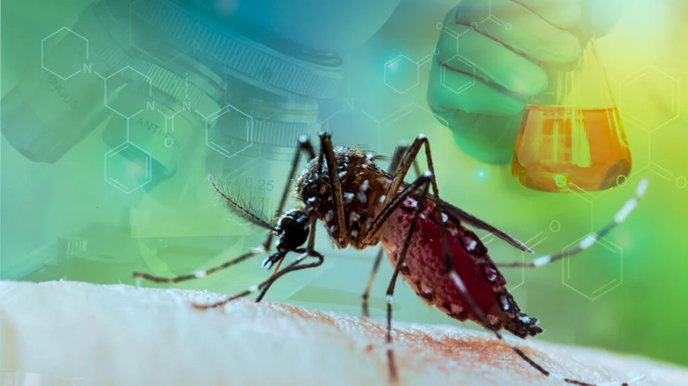 Argentina trece prin cel mai grav sezon de febra dengue din istorie