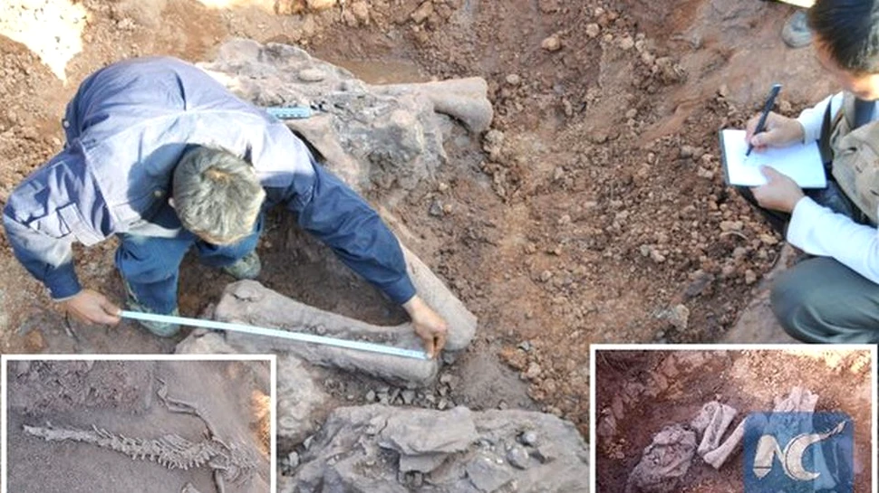 Descoperire neaşteptată în sud-vestul Chinei. Au o vechime de 180 milioane de ani – VIDEO
