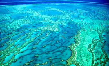 Un recif imens a fost descoperit sub Marea Barieră de Corali