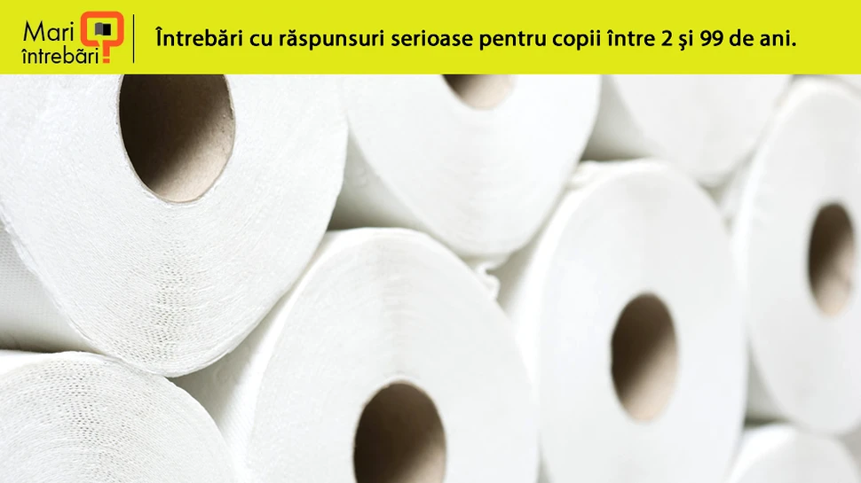 Cine a inventat hârtia igienică?