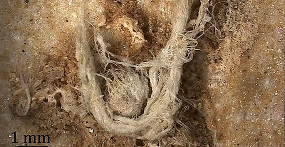 Cum arată şi câte mii de ani are cea mai veche bucată de pânză făcută de mâna omului