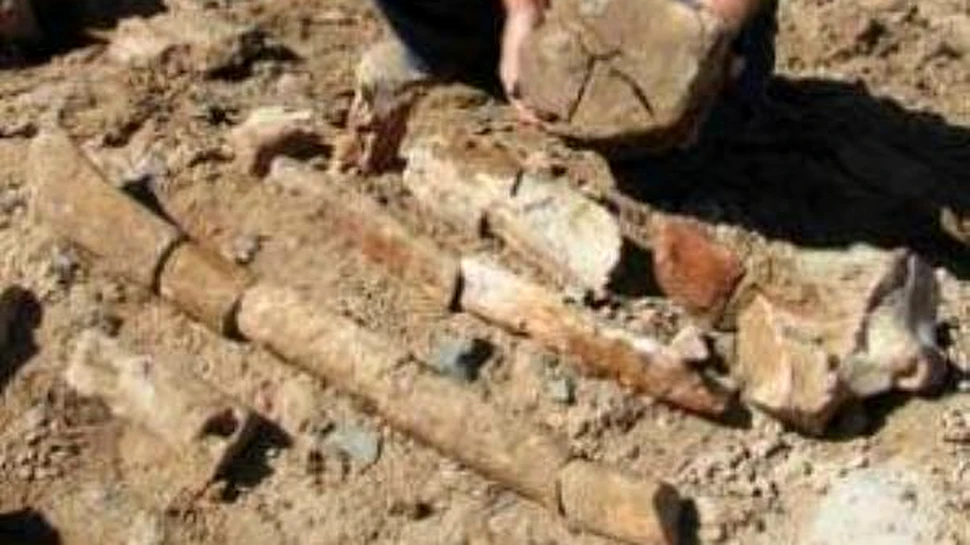Dinozaurii nu au fost primii mari migratori