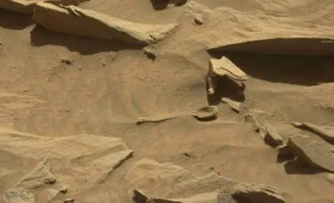 S-a găsit o formă bizară pe Marte. Are un corespondent pe Terra, chiar în România – VIDEO