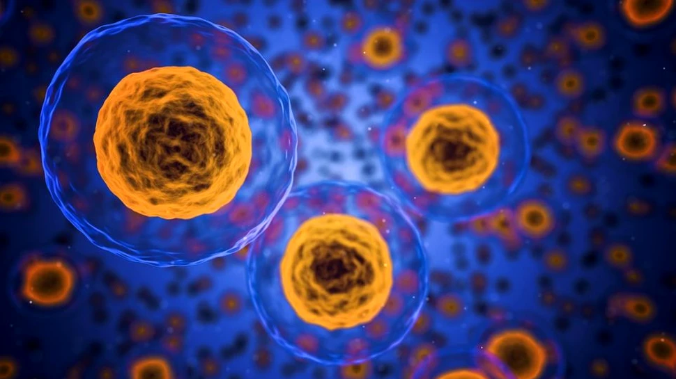 Tratamentul experimental anti-îmbătrânire, un succes după primele teste pe oameni