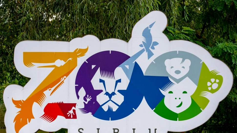 Noii locatari de la Zoo Sibiu: 5 pui de lup alb, un pui de ciută, 7 lebede negre