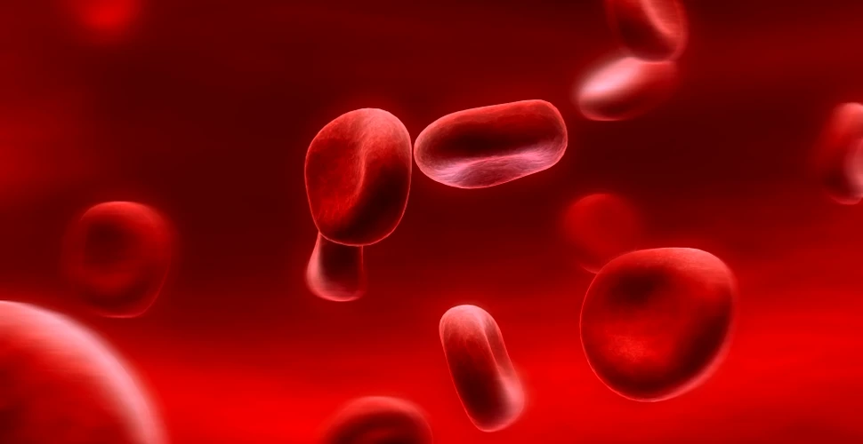 De ce apare anemia feriprivă în special la femei