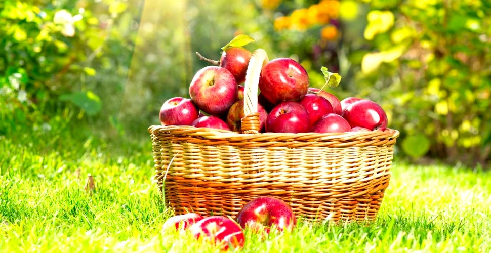 Dieta-minune cu mere: slăbeşti patru kilograme în doar cinci zile