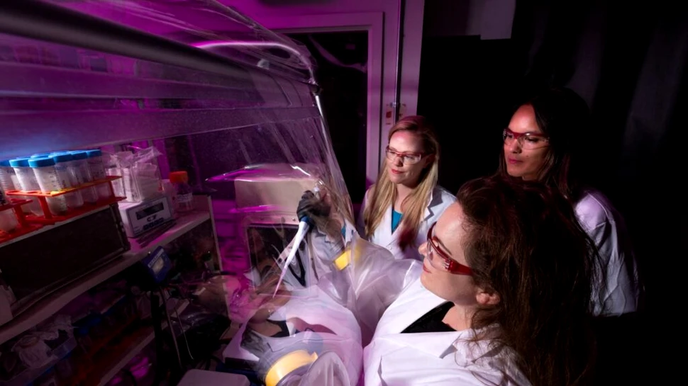 O unitate de la NASA vrea să imite condițiile care au dus la formarea vieții