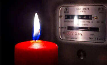 Cum a rămas o țară întreagă fără electricitate din cauza unei maimuțe?