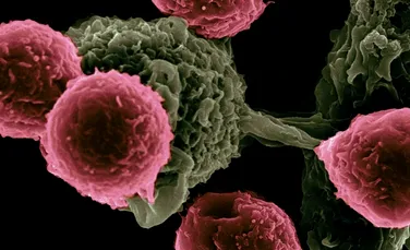 Medicii au descoperit o proteină care face legătura între toate tipurile de cancer