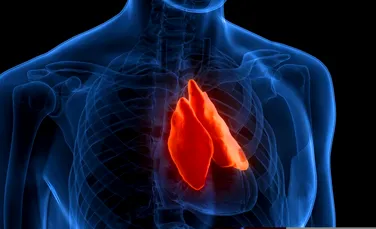Un organ „inutil” pe care medicii îl îndepărtează adesea ar putea lupta împotriva cancerului