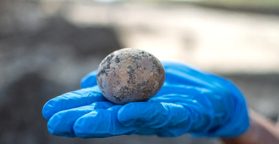 Arheologii israelieni au descoperit un ou vechi de 1.000 de ani, însă l-au spart din greșeală în laborator