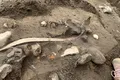 Bogății vechi de 1.500 de ani și peste 100 de arme din Epoca Fierului, scoase la lumină în Danemarca