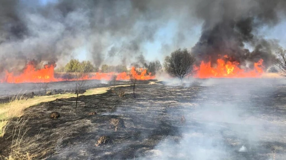 Incendiul din Delta Văcărești, stins după mai bine de două ore. Ce suprafață a ars?