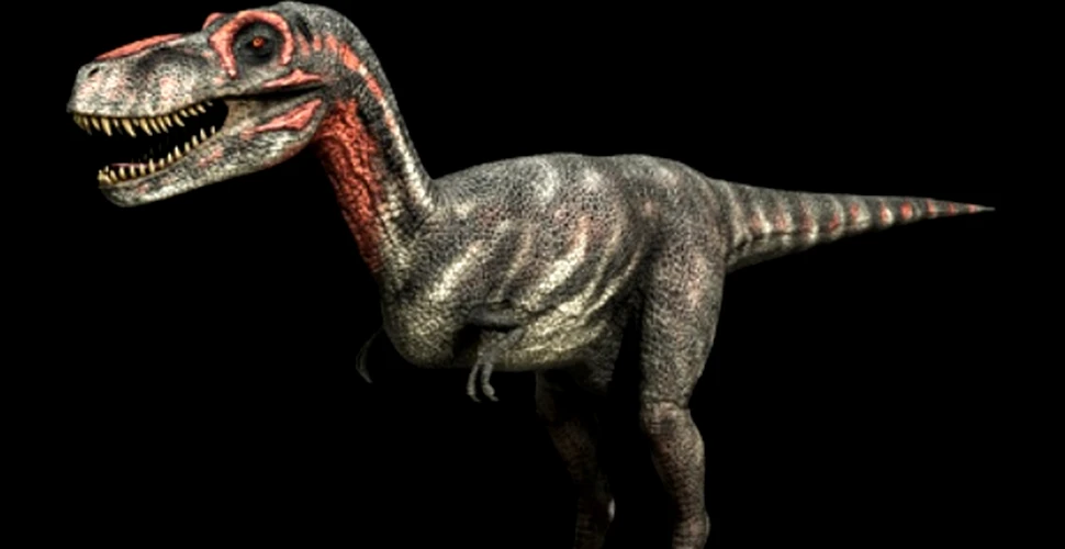 O treime din speciile de dinozauri nu a existat niciodata?