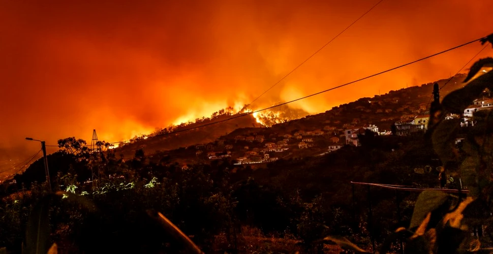 Pagubele majore cauzate de incendiile de vegetație din California pot fi văzute din spațiu