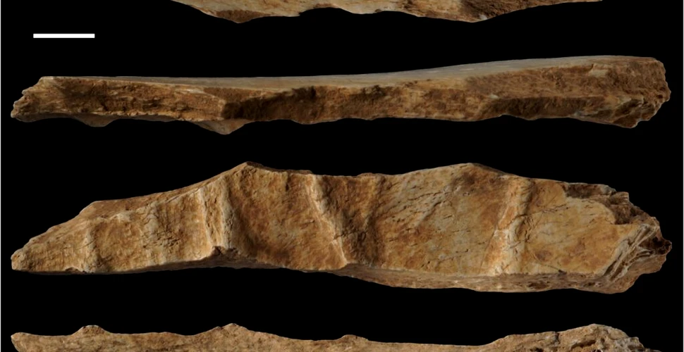 Oamenii purtau haine de piele în urmă cu 39.000 de ani