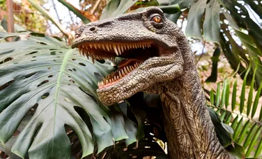 Animale cu sânge cald sau cu sânge rece? Cercetătorii elucidează misterul dinozaurilor