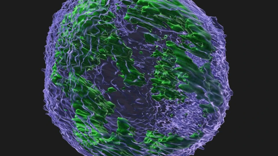 O enzimă care ne protejează împotriva virusurilor ar putea alimenta evoluția cancerului