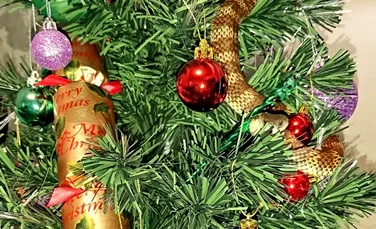 Decoraţiunea NEOBIŞNUITĂ descoperită de o femeie în bradul de Crăciun