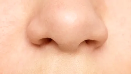 Un profesor de anatomie explică de ce o nară este mai dominantă decât cealaltă