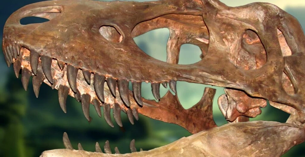 Un schelet de dinozaur, scos la vânzare într-o licitație rară la Paris