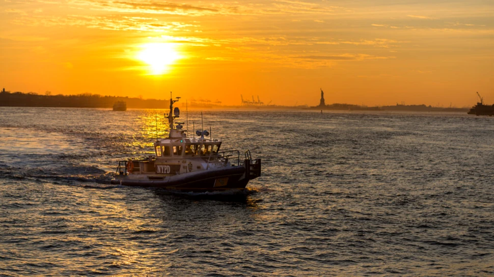 Balenele cu cocoașă din largul coastei New York-ului, în pericol din cauza navelor