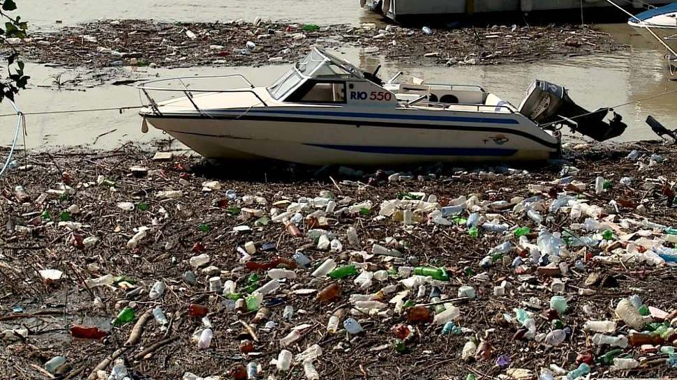 Tone de gunoaie sufocă malul Dunării în dreptul oraşului Galaţi