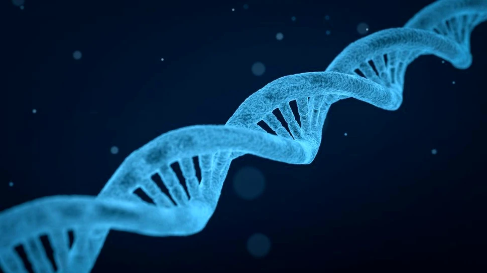 Celulele imunitare editate cu CRISPR pot supravieţui câteva luni după administrarea la bolnavii de cancer