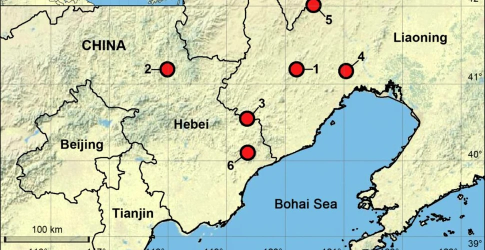Șase specii de păianjeni ciudați au fost găsite în munții din China
