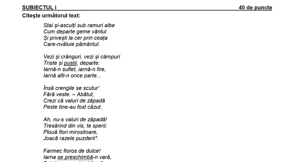 Eroare la simularea la Română de la Evaluarea Naţională. Poezia lui Heinrich Heine, atribuită lui St. O. Iosif