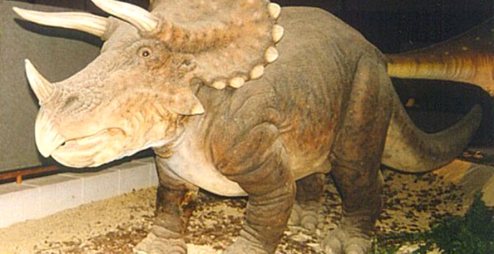 A fost identificat primul dinozaur cu coarne din Europa