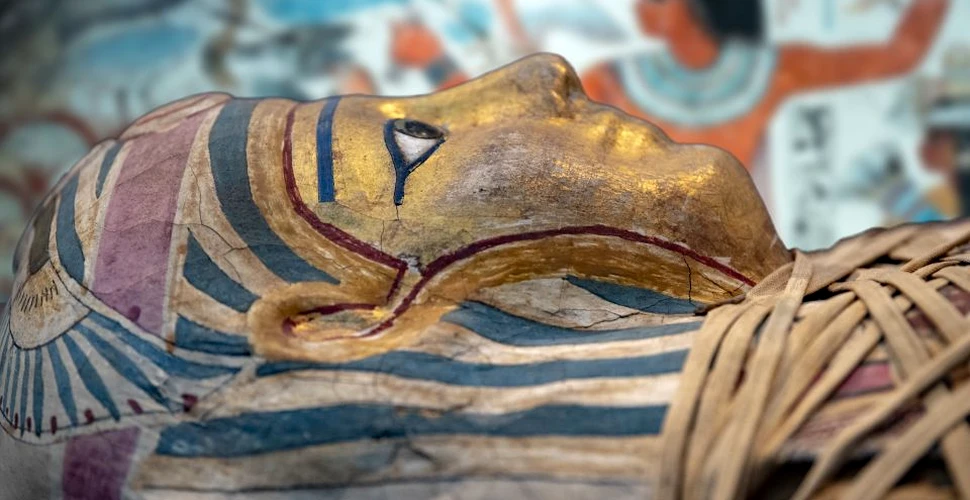 După 3 ani de controverse, scanarea 3D a bustului lui Nefertiti este disponibilă publicului larg