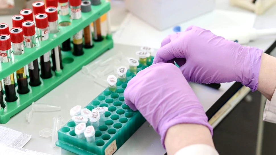 ”Atlasul” celulelor stem din muşchii noştri