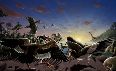 Fosilele unor păsări din vremea dinozaurilor, descoperite lângă Marele Zid Chinezesc