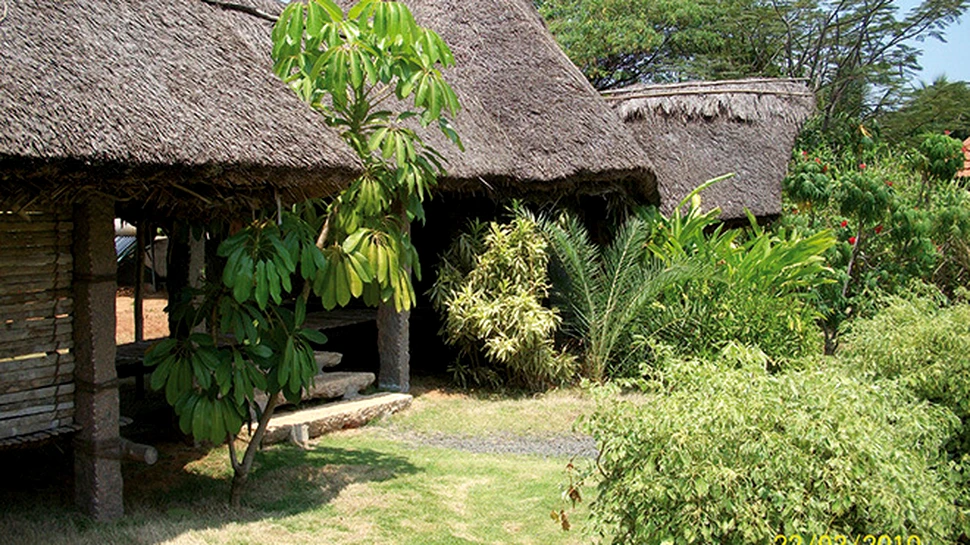 Auroville, oraşului ideal unde există bani, religie sau politică