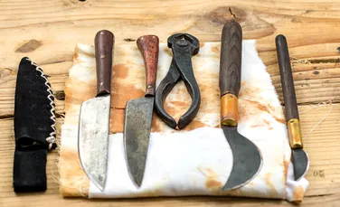 Practici dentare bizare din istorie: de la „viermii dinților” la pasta din șoareci