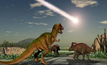 Un nou studiu arată un aspect mai puţin cunoscut al extincţiei în masă care a dus la dispariţia dinozaurilor