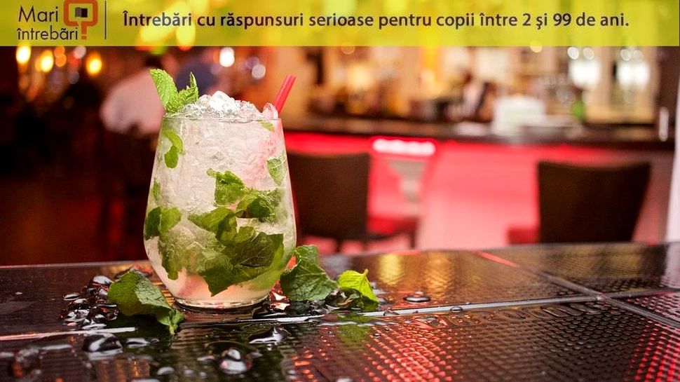 De ce menta îţi dă o senzaţie de răcoare?