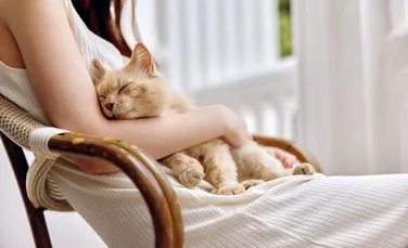 Test de cultură generală. De ce le place pisicilor să doarmă pe oameni?