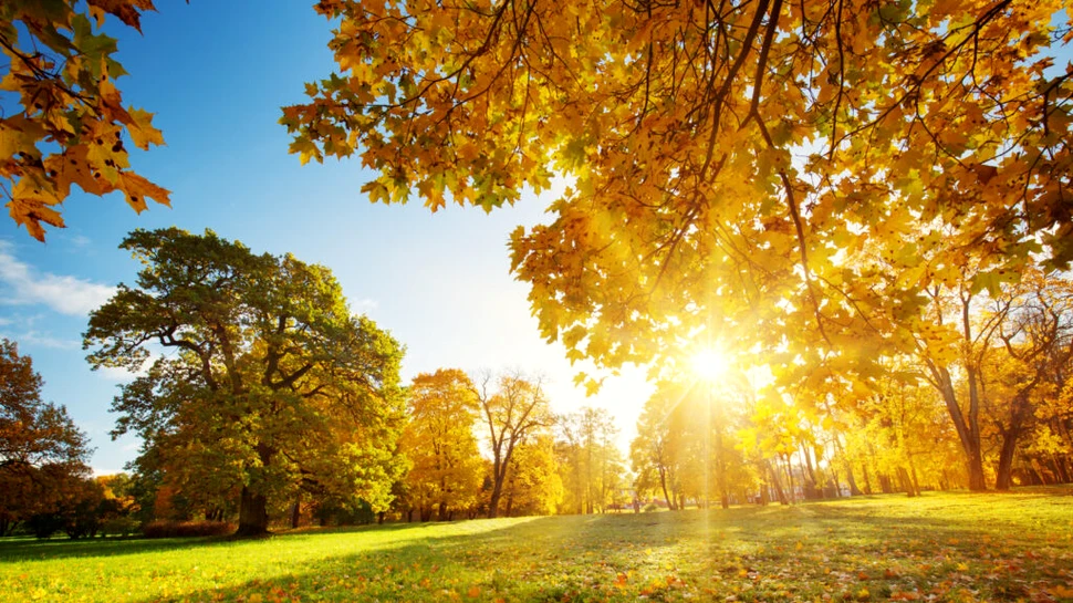 Meteorologii anunță o toamnă neobișnuit de caldă. Prognoza până în octombrie