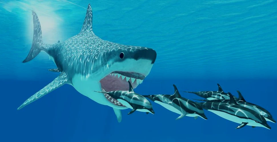 O nouă specie de rechin preistoric uriaş a fost descoperită. Era o adevărată ”maşinărie de ucis”